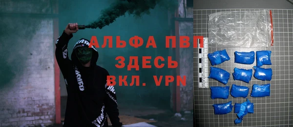 индика Покачи