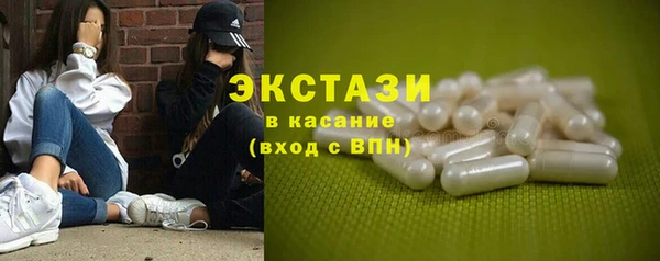 индика Покачи