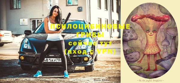 прущие крисы Переславль-Залесский