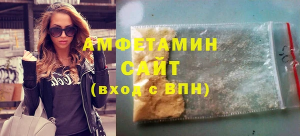 индика Покачи