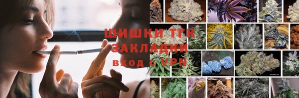 индика Покачи